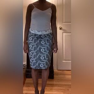 Banana Republic Pencil Skirt
